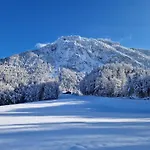 Am Taubensee Apartment