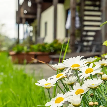 Am Taubensee Appartement