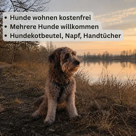 Am Taubensee - Ruhig, Naturnah, Hunde Willkommen & Kostenlos 公寓 *